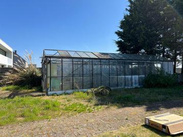 Serre glas, Tuin en Terras, Gebruikt, Kweekkas, Glas, Ophalen