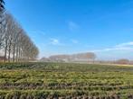Bouwgrond te koop in Brugge, 500 tot 1000 m²