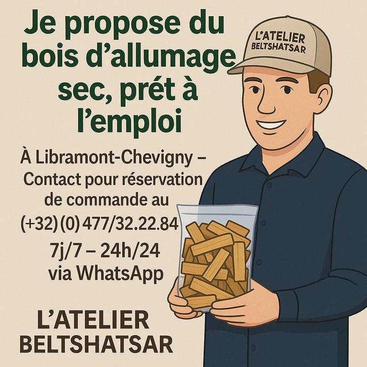 L'atelier Beltshatsar propose la vente du bois d'allumage, Tuin en Terras, Brandhout, Stammen, Beukenhout, 3 tot 6 m³, Ophalen of Verzenden
