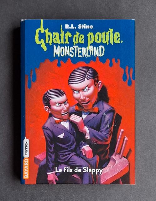 Livre Chair de poule - Le fils de Slappy, Livres, Livres pour enfants | Jeunesse | 10 à 12 ans, Utilisé, Enlèvement ou Envoi