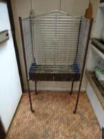 vogelkooi, Dieren en Toebehoren, Papegaai