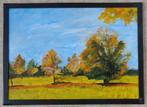 AN HOFKENS / BOMEN IN DE LENTE / OLIEVERF / 54x74cm / KADER, Antiek en Kunst, Kunst | Schilderijen | Modern, Ophalen