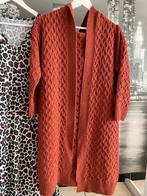 Pull trui cardigan 42 dames - GRATIS kleedje luipaardprint, Verzenden, Zo goed als nieuw, Maat 42/44 (L), Bruin