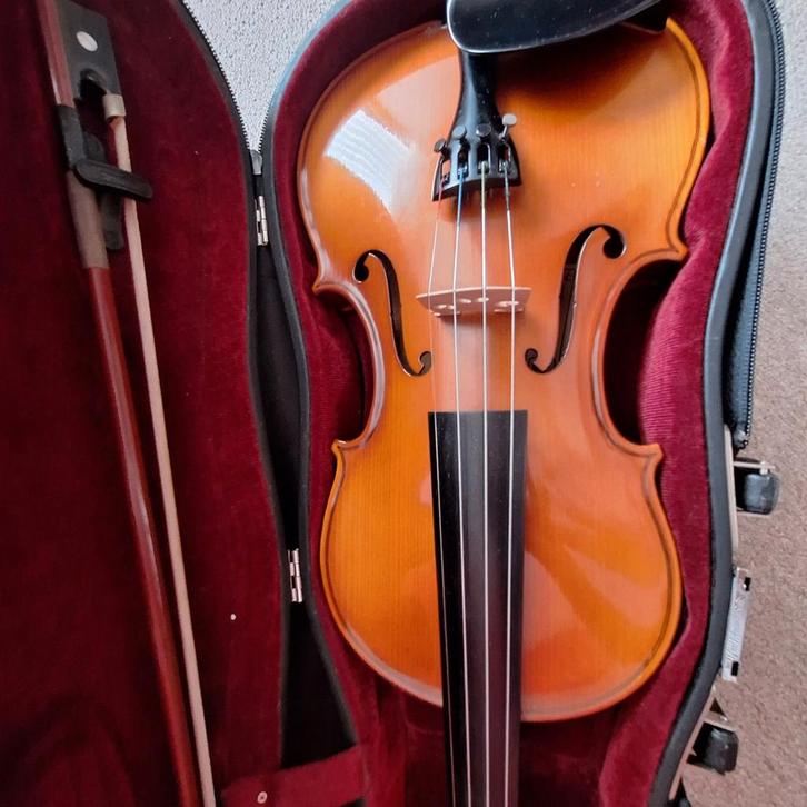 Lot van 40 goede studieviolen te koop om te verhuren!, Musique & Instruments, Instruments à cordes frottées | Violons & Altos