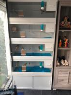 Kweekkooien in pvc, Dieren en Toebehoren, Reptielen en Amfibieën | Toebehoren, Ophalen, Zo goed als nieuw