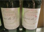 2 prima Flessen Chateau de L Ille - Blanc de Blanc - 2004, Frankrijk, Ophalen of Verzenden, Vol, Witte wijn