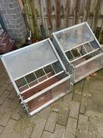 Spoutnik pour pigeons