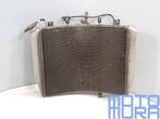 Radiateur voor de Kawasaki ZX6R 2005 2006 636cc ZX6-R ZXR 60, Ophalen of Verzenden, Gebruikt