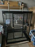 couple de conure avec cage, Dieren en Toebehoren, Ophalen, Nieuw, Metaal, Vogelkooi