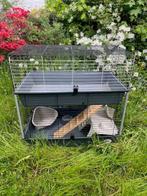 hamster kooi, Ophalen, Kooi, 60 tot 90 cm, Hamster