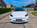 Tesla Model Y Performance* Autopilot * btw incl, Auto's, 0 cilinders, Wit, Leder, 5 zetels