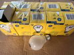 gloeilamp warmtelamp 25w  10+1 gratis, Dieren en Toebehoren, Ophalen of Verzenden, Nieuw, Verlichting
