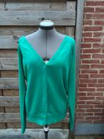 Groen katoenen vest JBC maat 44, Vêtements | Femmes, Pulls & Gilets, Enlèvement, Taille 42/44 (L), Vert