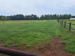 Paarden omheining, Dieren en Toebehoren, Ophalen