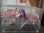 Cage petit rongeur ( gerbille , hamster , ...), Moins de 60 cm, Cage, Utilisé, Hamster