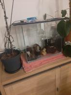 Aquascaping-aquarium openen, Dieren en Toebehoren, Ophalen, Gebruikt