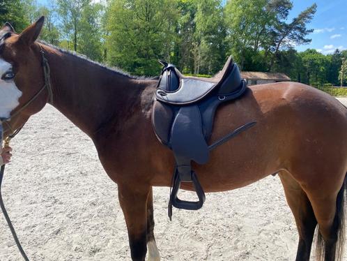 Edix boomloos Vika zadel S, Dieren en Toebehoren, Paarden en Pony's | Zadels, Zo goed als nieuw, Overige soorten, Ophalen