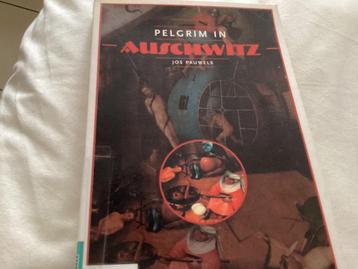 Pelgrim In Auschwitz
