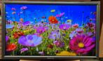 5 stuks 32 inch Philips professionele Full HD LED TV's, Audio, Tv en Foto, Ophalen, Philips, 80 tot 100 cm, Full HD (1080p)