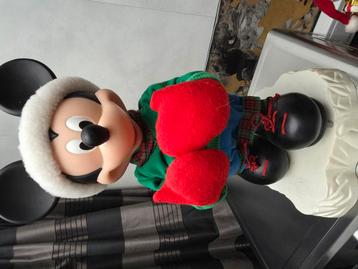 Mickey  beschikbaar voor biedingen