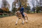 paardrijlessen op maat, Dieren en Toebehoren, B