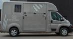 Paardencamionette opel movano akx, Dieren en Toebehoren, Ophalen, Zo goed als nieuw