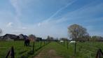 Klein paardenpension regio Viane Galmaarden Deux-Acren, Dieren en Toebehoren