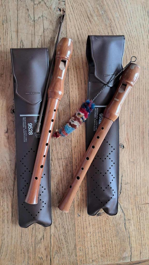 Flûtes à bec Hohner 9528 Bois, Muziek en Instrumenten, Blaasinstrumenten | Blokfluiten, Gebruikt, Sopraan of Sopranino, Met koffer, hoes of etui