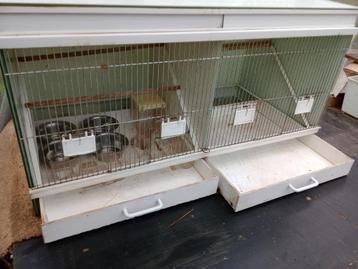 VOGELKOOI beschikbaar voor biedingen