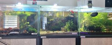 Nano aquarium nieuw in doos 48l beschikbaar voor biedingen