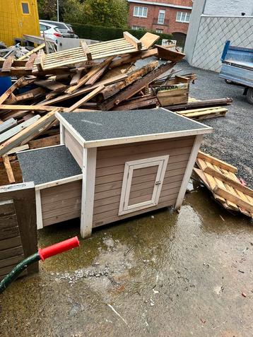 Kippenhok 3 Kippen beschikbaar voor biedingen