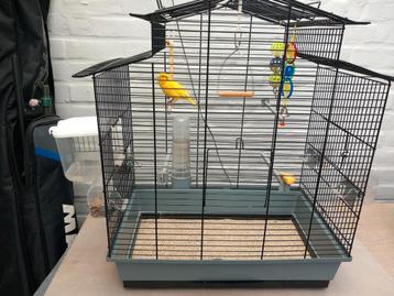 Kooi .met canarie vogel, Dieren en Toebehoren, Ophalen