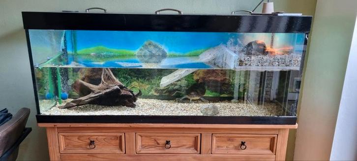 Schildpadden aquarium, omgebouwde Jewel met led-tl, 150cm, Dieren en Toebehoren, Reptielen en Amfibieën | Toebehoren, Zo goed als nieuw