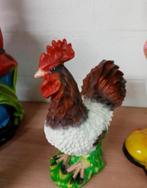 Haan, Dieren en Toebehoren
