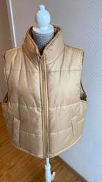 Bodywarmer maat XS/S, ANDERE, Ophalen, Zo goed als nieuw, Maat 34 (XS) of kleiner