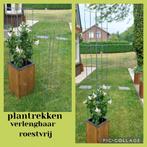 balkontuin balkonmoestuin balkonplant balkonplanten, Ophalen of Verzenden, Overige soorten