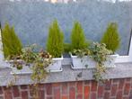 2 gevulde bloembakken prijs bespreekbaar, Tuin en Terras, Ophalen