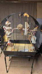 vogelkooi, Ophalen, Gebruikt, Metaal, Vogelkooi