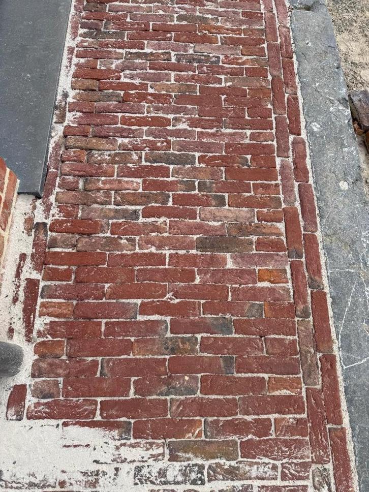 Kleiklinker WB Artiza Hortus Althea, Tuin en Terras, Tegels en Klinkers, Nieuw, Klinkers, Overige materialen, 10 m² of meer, Ophalen