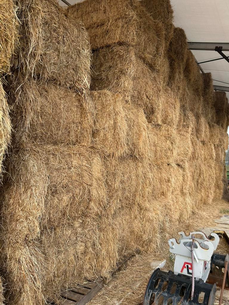 Droog hooi, Zakelijke goederen, Landbouw | Veevoer, Ophalen