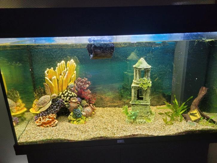 Aquarium 120 liter, Dieren en Toebehoren, Vissen | Aquaria en Toebehoren, Ophalen