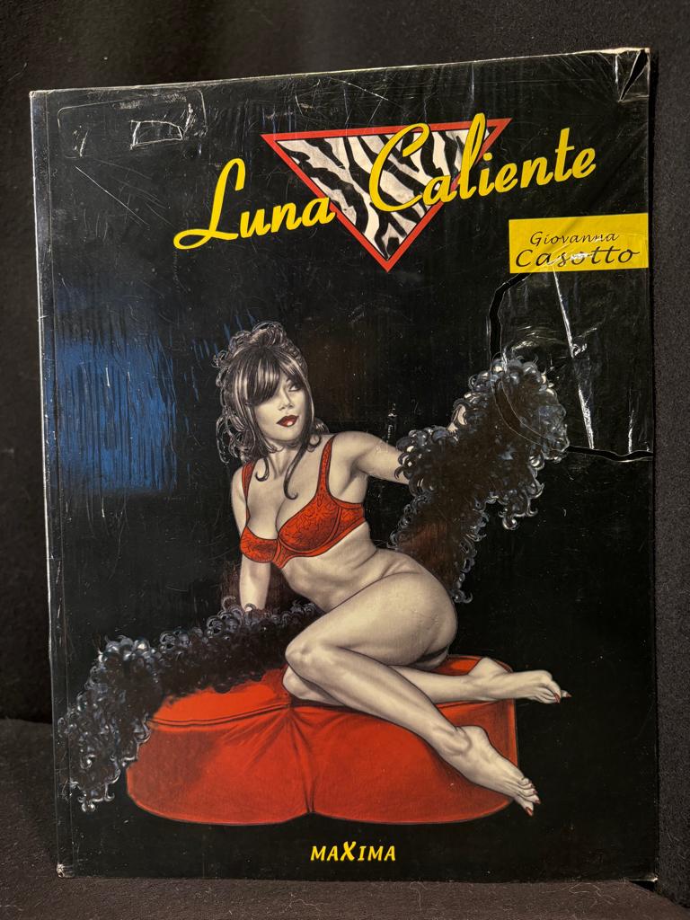 Set van 7 Erotische strips voor volwassenen Nederlandstalig, Boeken, Stripverhalen, Zo goed als nieuw, Meerdere stripboeken, Ophalen of Verzenden