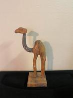 Decoratieve dromedaris, Ophalen