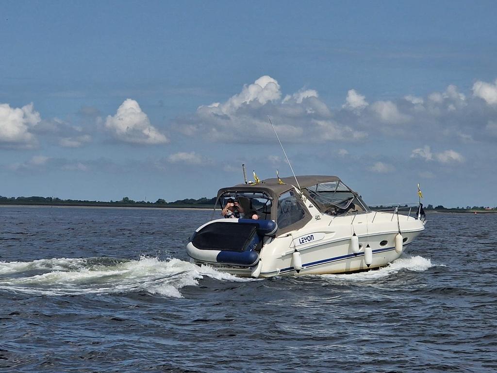 Aqua viva 295, Sports nautiques & Bateaux, Bateaux à moteur & Yachts à moteur, Utilisé, Polyester, 9 à 12 mètres, Diesel, Moteur in-bord