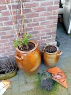 Set kruiken, Enlèvement