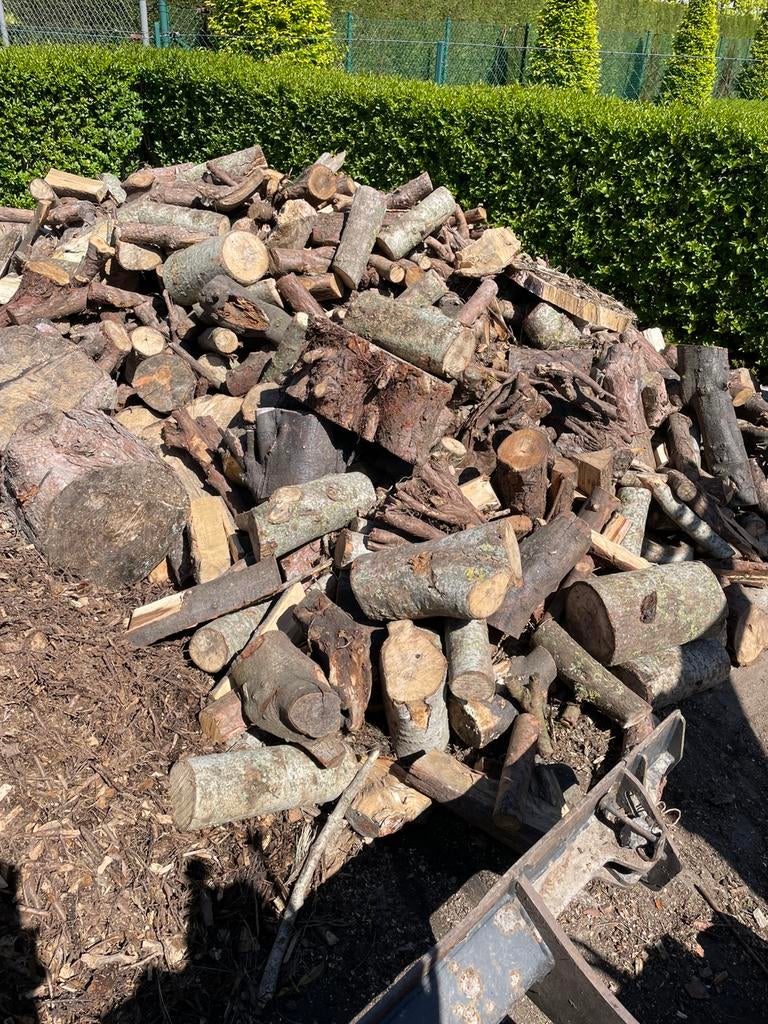 Brandhout spar/populier, Tuin en Terras, Brandhout, Ophalen