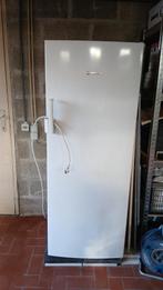 Bosch Diepvries, Elektronische apparatuur, Ophalen