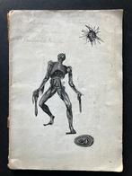 De Sluier van Isis - Erik Van Ruysbeek, Ophalen