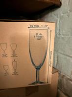 Boîte en verre à cava de 12, Enlèvement, Neuf, Autres types