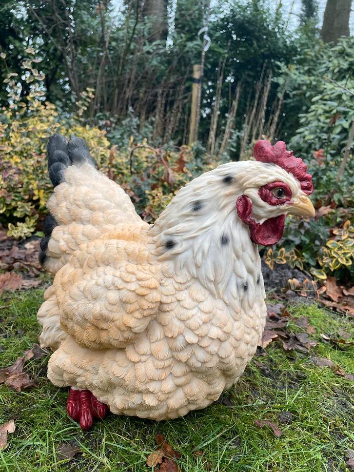 Image poulet, jardin, étang, pelouse, ferme 35cm, Jardin & Terrasse, Statues de jardin, Neuf, Animal, Synthétique, Enlèvement